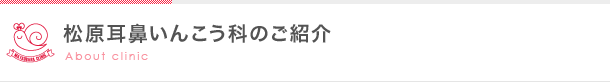 松原耳鼻いんこう科のご紹介